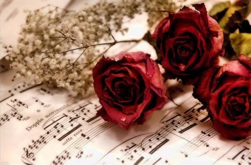 Rose_Music